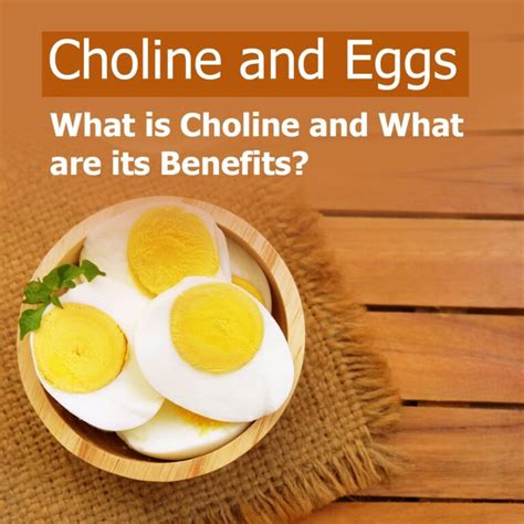 Before you begin the alcohol detox, shift to a healthy diet rich in lean proteins like chicken, <b>eggs</b>, fish and non-fatty meats. . Eggs choline depression reddit